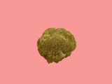 Juba de Leão - Hericium erinaceus 10g