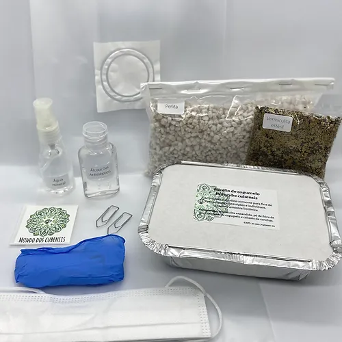  Kit cultivo FÁCIL 500ml de P. cubensis 