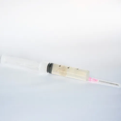  Cultura líquida de P. cubensis var. Penis Envy PLUS (07) 