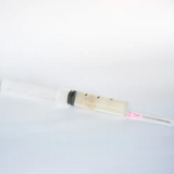 Cultura líquida de P. cubensis var. Penis Envy PLUS (07)