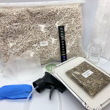 Full Psilocybe cubensis cultivation kit (500ml)