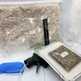 Kit de Cultivo de Psilocybe Cubensis - 500ml (Completo)